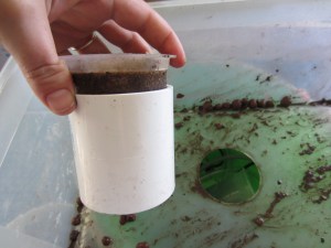 broken mason jars 001