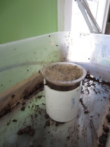 broken mason jars 004