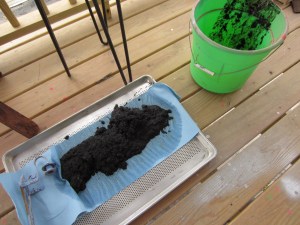 soil mineralization 016